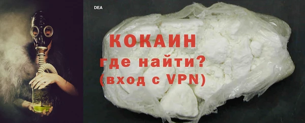 ECSTASY Богданович