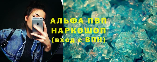 ECSTASY Богданович